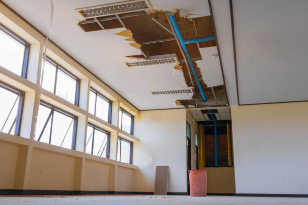Carpet water damage restoration in FL