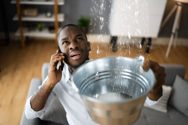 Best Water damage restoration near me  in Gulfport, FL
