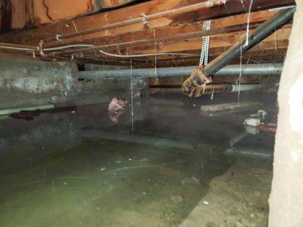 Best Emergency water extraction  in Gulfport, FL