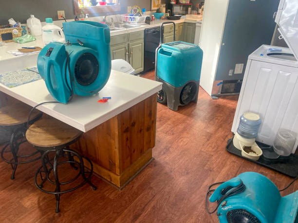 Best Water damage contractors near me  in Gulfport, FL