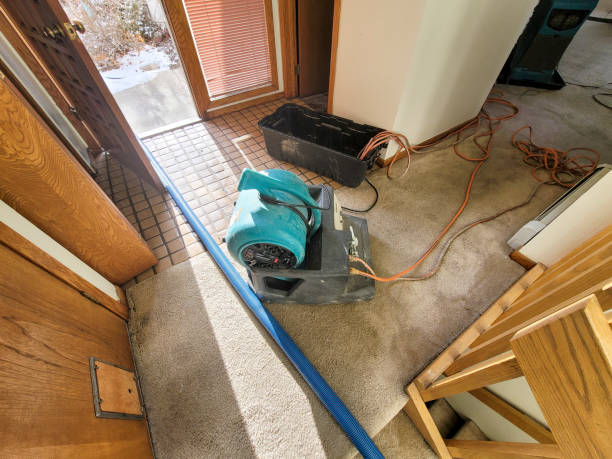 Best Flood restoration services  in Gulfport, FL