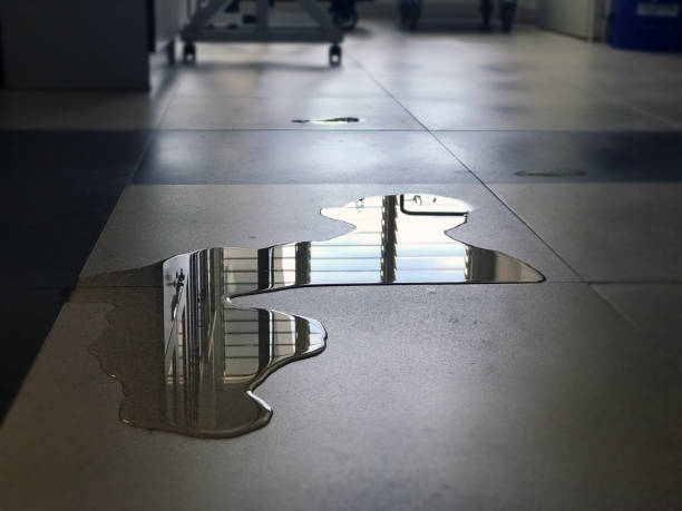 Professional Water damage restoration in FL