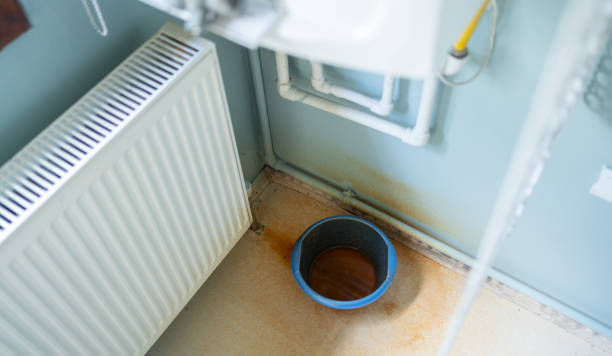 Best Flooded house restoration  in Gulfport, FL