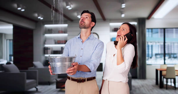 Best Local water damage restoration  in Gulfport, FL