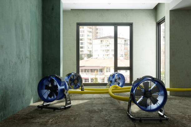 Best Fire Damage Restoration  in Gulfport, FL