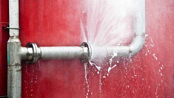 Best Carpet water damage restoration  in Gulfport, FL