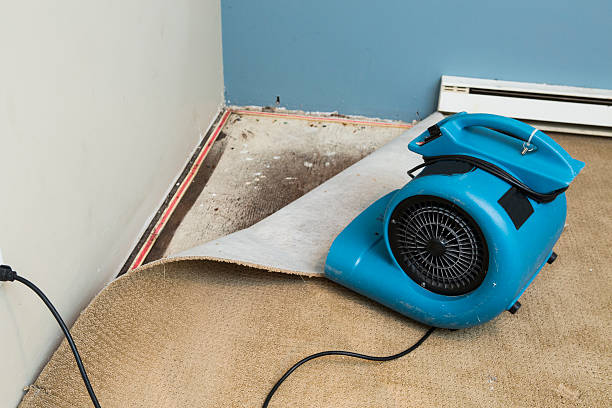 Best Ceiling water damage repair  in Gulfport, FL